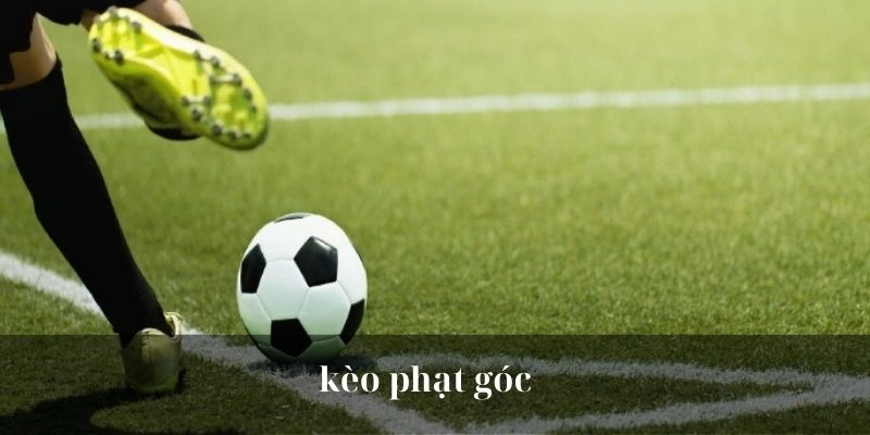Kèo Phạt Góc | Tổng Hợp Những Kinh Nghiệm Cá Cược Từ Chuyên Gia 1 Tìm hiểu về kèo phạt góc trong bóng đá